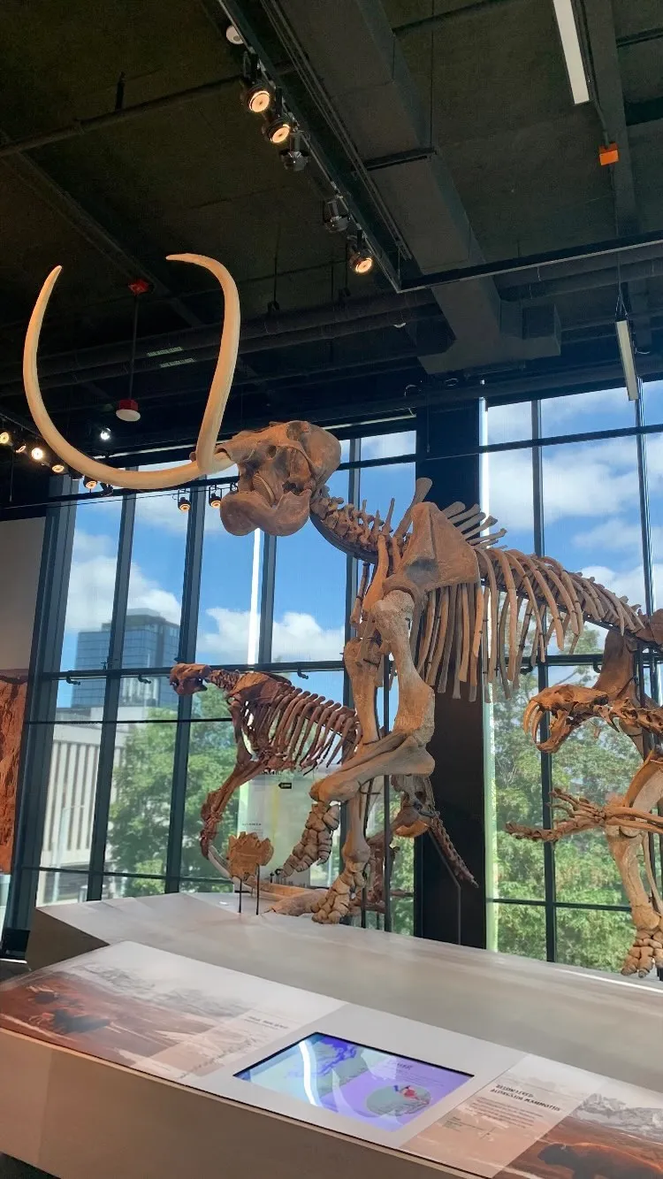 The Burke Museum of Natural History